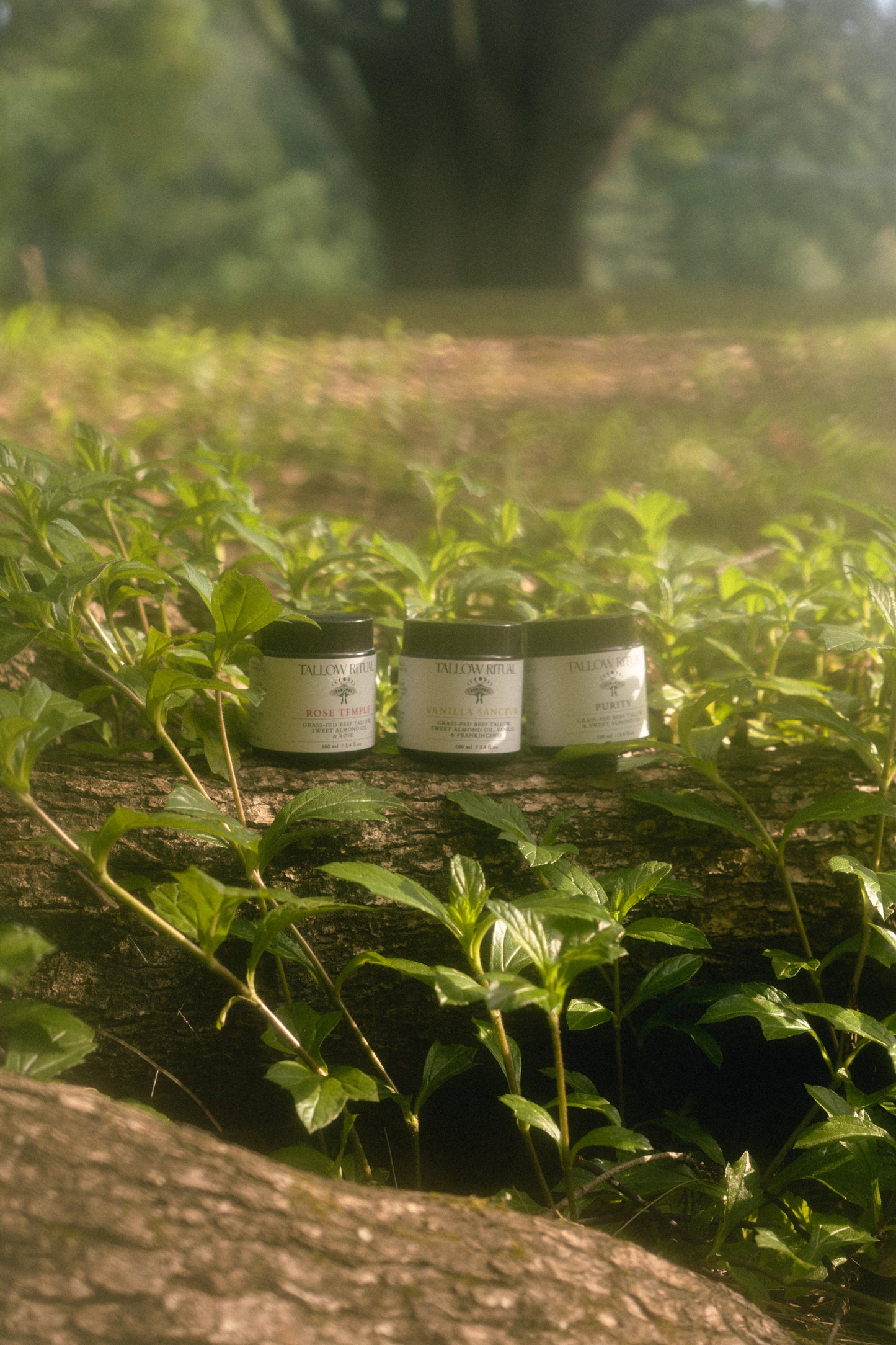 Tallow Ritual Bundle