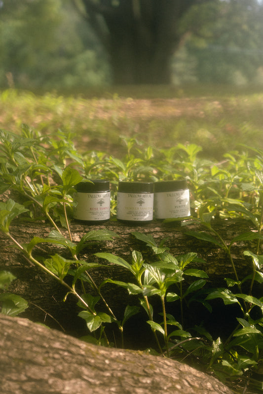 Tallow Ritual Bundle